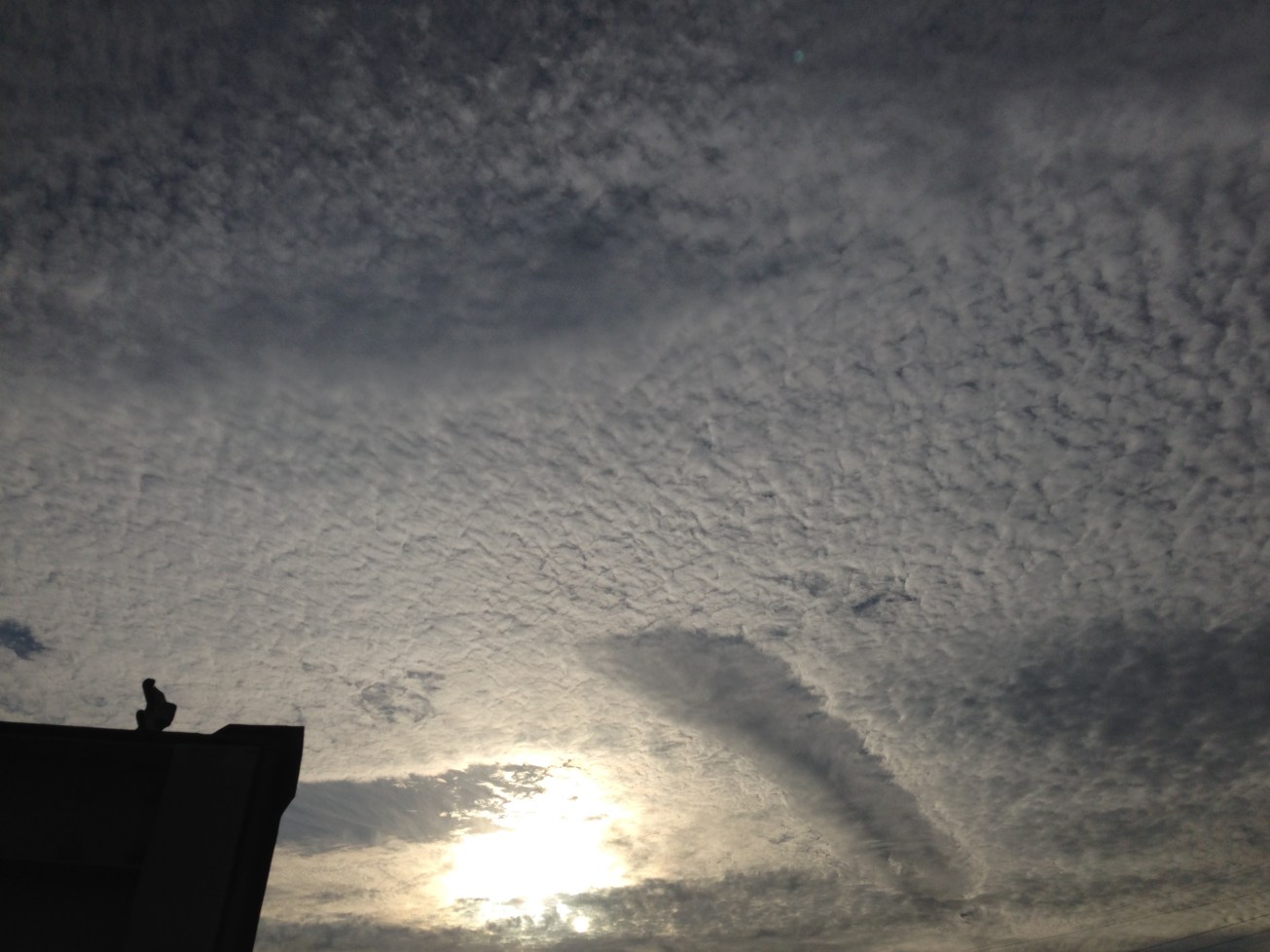 Scarborough, Ontario August 2014